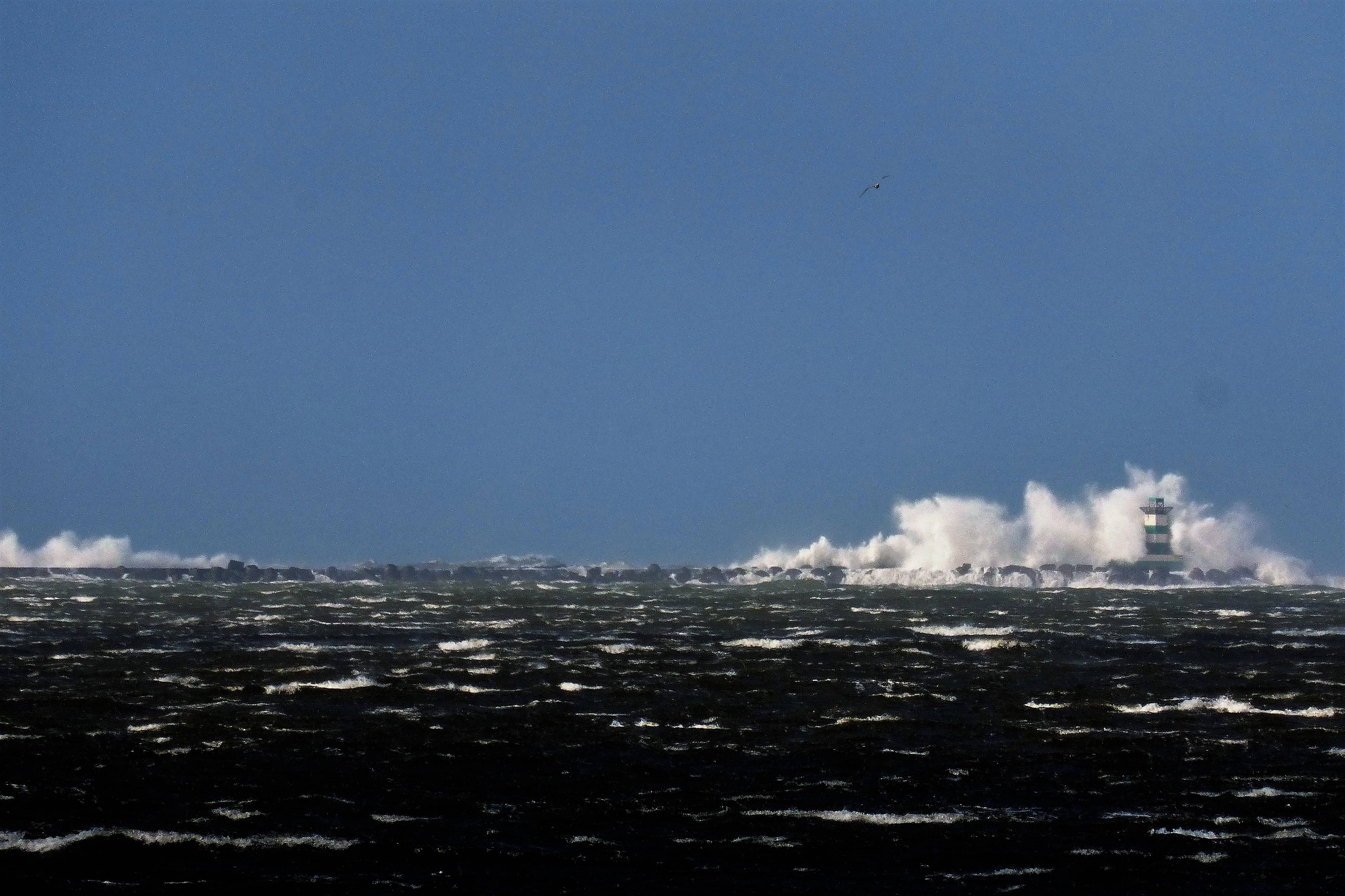 Pieren IJmuiden   10-02-20 